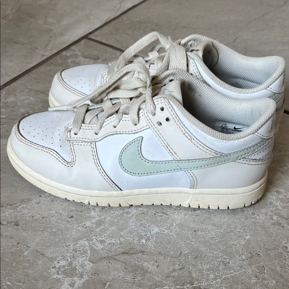 Nike Dunk Low Youth 2.5